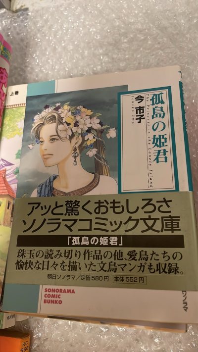 这次买的也是漫画，而且也都是今日子的老漫画，非常新，被前任卖家保护的挺好。今日子画的都是又感动又玄幻的内容，本来还想买她那套最出名的漫画，但感觉没有完结，所以只能再等一段时间再说。