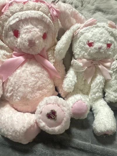 在挖煤姬上切煤真的太省心啦！这次在煤炉上拍到了心心念念的两只兔熊，拍卖出价完全没有延迟，让我稳稳拿下了。选的EMS路线速度也超给力，从出库到手只用了3天就收到了，包裹完好无损，可爱的兔熊终于到手，幸福感满满～