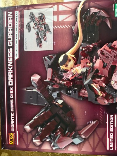 货物到了，包装很好，几层保护拆了我好久，这件东西蹲了我很久才能买到，碰巧在雅虎日拍上看到，幸亏对方没有太大周旋，总算用理想价买到了，满意！

  