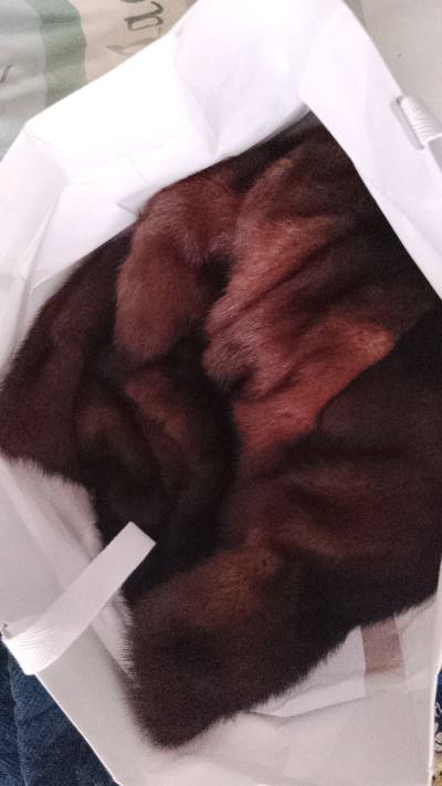 中古皮草 ，好看又时髦。穿上正好，还怕到的时候小了穿不上，佩服自己的选品能力，淘货市场我是一把手，嘻嘻