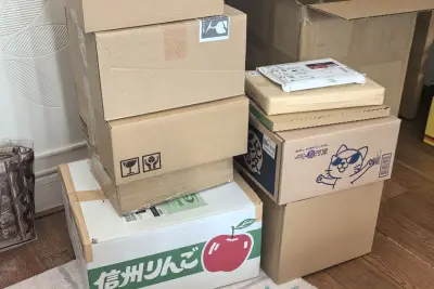 海淘游戏卡带安全下车！蹲到日版好价，从下单到收货全程顺畅。打包超用心，气泡膜+加固箱，卡带八角尖尖无磕碰，品相完美。物流稳定、清关顺利，价格比国行友好，收藏党狂喜。终于集齐心头好，开箱幸福感拉满，喜欢冷门/日版游戏的朋友可以放心冲！


