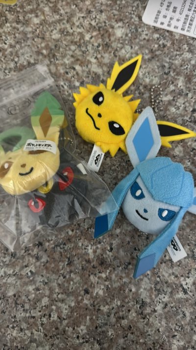 很可爱的四只小伊布，购物体验超好，竹蜻蜓物流很快，包裹也安全到家，值得一提的是合单的操作使国际邮费便宜上不少，对小食量周边党非常友好～