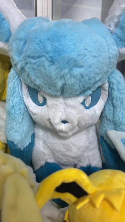 第一次在宝可梦官网购买毛绒，很惊喜于这个功能，官网购入保障和安全性大大提升，两只毛绒的脸也很正很萌，物流也及时迅速，准备常驻挖煤姬！