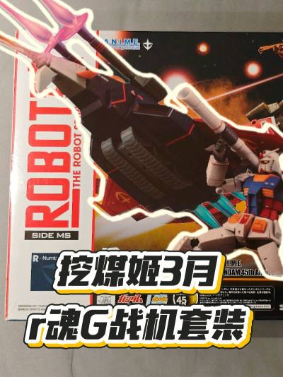 日拍买到的肉魂G战机套，到货后感觉挺满意。
�东西全配无损，移印清晰，关节活动顺畅，漆面质感也不错，整体造型很帅气。
�包装用的是挖煤姬的纸箱，里面加了缓冲泡膜，东西完好无损地送到了。