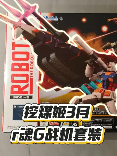 日拍买到的肉魂G战机套，到货后感觉挺满意。
�东西全配无损，移印清晰，关节活动顺畅，漆面质感也不错，整体造型很帅气。
�包装用的是挖煤姬的纸箱，里面加了缓冲泡膜，东西完好无损地送到了。