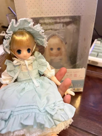 日拍买azone安全下岸！走的包税线十天左右就到了，运费八十多，比国内价格便宜个一两百，包装的很不错但盒子有一点开裂还可以接受！妮娜小宝宝太萌啦！