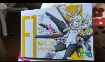 海淘闪燕动画版体验很棒，下单流程顺畅，物流稳定，包装扎实无破损。模型还原度高、细节到位，客服响应及时，整体省心靠谱，胶佬海淘很满意。