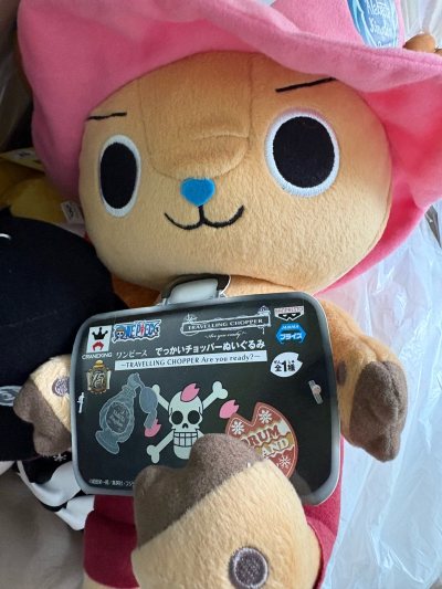 在挖煤姬海淘的《海贼王》乔巴和佩罗娜玩偶太香了！包装严实无破损，做工精细还原度超高，物流也很省心，下次还冲！✨