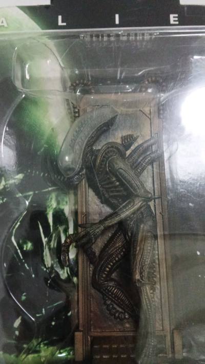 喜欢挖煤姬日淘手办，都是中古品完好无损运到目的地，很喜欢竹蜻蜓的选着物流方式，可以安心下单，买卖双方都高信用


