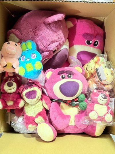 又是一期草莓熊毛绒公仔开箱啦～有圣诞戴围巾的草莓熊、有歪头双肩背的草莓熊、有东迪mini草莓熊、还有揣手手草莓熊挂件！还有火腿猪和兔哥揣手手挂件！可可爱爱！这次是海运运送宝贝们安全回家！期待下次开箱～