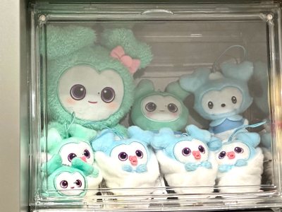 运费合理，打包安全，物流迅速，而且词条也全面了很多，包括识图也是，希望以后可以继续改进，这次体验感还不错，切了些小玩意


