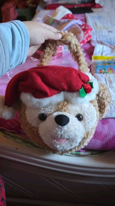  商品收到了，是达菲的包包和四宝抱枕~包装严实没有破损，打开一看质量超出预期，做工精细，材质手感都很好，和图片描述完全一致，没有色差。物流速度快，客服态度热情耐心，性价比很高，非常满意