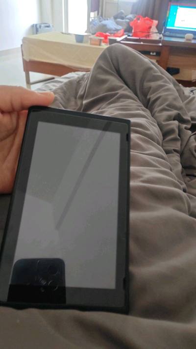 国内某鱼水太深了，二手货哪里敢入手。又买一个送给小外甥。改天在配上充电器和Joycon。又能愉快好久了。本来捡漏的机器，奈何有问题，不过花了一百多修复。还是很有性价比的，起码不是组装机。还会再次下手购买。