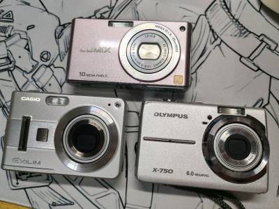 淘了三台哈哈哈，松下卡西欧奥林巴斯各一台，最爱奥林巴斯出片，色彩浓郁，非常适合户外拍摄！三台ccd加上其他费用不到1300，虽然不是很热门的ccd，但是本人主要是抱着出片的需求淘的，不在意热门牌子，但是恰好淘到的三台成色都非常好嘿嘿。
