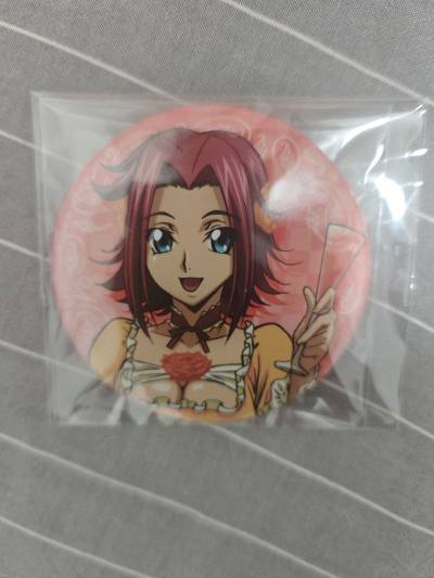 在挖煤姬买的谷子到了，这次走的是竹蜻蜓plus路线，非常适合价高体积小的谷子，这次的箱子也很合适，合箱很快，趁着最近优惠活动，切了喜欢的一套小卡和吧唧，是一次很好的购物体验