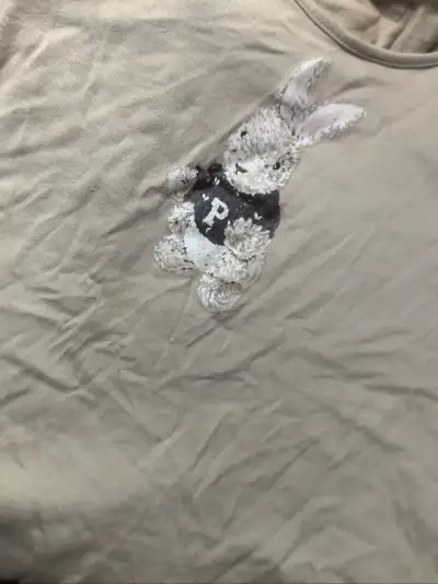 之前看中很久却因为价格太高一直没有入手的pinhouse小兔内搭卫衣！这一次在挖煤姬上看到有一样的价格还只有之前的1/10立刻入手了！感谢挖煤姬给我带来的很好的购物体验