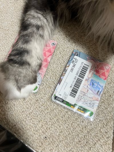 用过了别的app，还是挖煤姬最好用，切得速度是最快的，无意中发现了三森的小卡，煎至白菜价格，以为过年会卡很久，居然很快就收到了