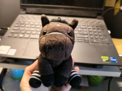 挖煤姬真乃海淘神器！界面简洁易上手，翻译精准无门槛。物流迅捷如风，包裹严实安心，客服贴心相伴。轻松淘遍日本好物，省心又放心，爱不释手！