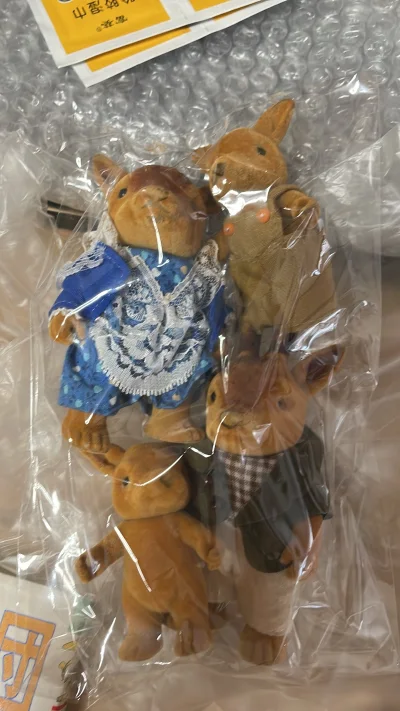 这一箱丝滑入境，早上一睁眼，就看到开始了派送，真开心。森家早期的梅花鹿家族，筱原千绘的粉丝书和悬疑系列特辑都很棒。值得购买。