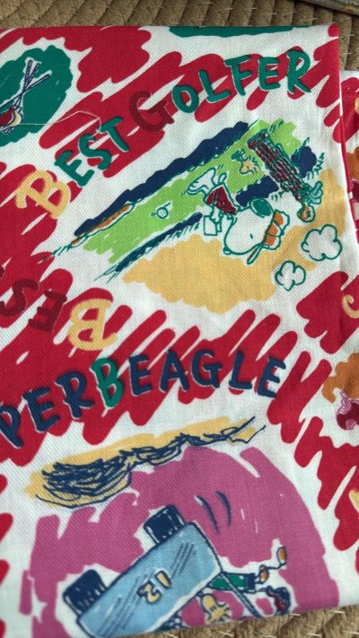 布料买到了好看的snoopy布料以及绝美的kitty布料 还是联名款，太好看了，太喜欢了呢，想买更多的布料