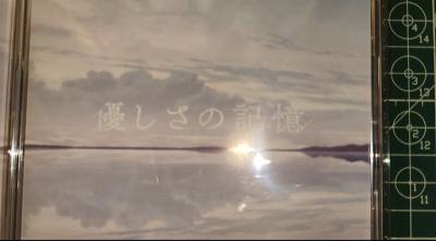 快递收到啦，包装完好无损，东西和描述一模一样，质量超满意！发货快、物流也给力，一次超舒心的购物体验，真心推荐～