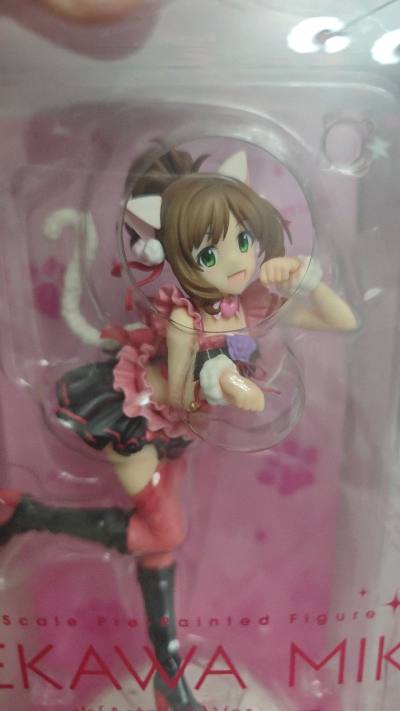 偶像大师里面的一个猫娘手办，做工非常细腻，面雕也很耐看，手办包装也很华丽，看上去很有档次，手办看上去更叫我喜欢