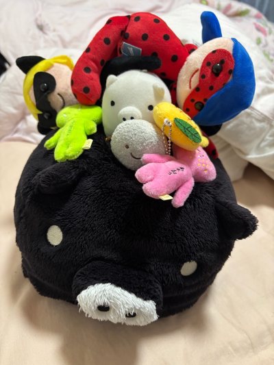 特别特别满意啊 发货速度也很快 主要是切一些萌物回来特别划算啊 真的好喜欢啊 非常满意的一次切煤体验 国际邮换点积分也特别便宜 均下来比国内邮还便宜(՞⸝⸝o̴̶̷̥᷅  ̫ o̴̶̷᷄⸝⸝՞)



