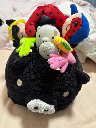 特别特别满意啊 发货速度也很快 主要是切一些萌物回来特别划算啊 真的好喜欢啊 非常满意的一次切煤体验 国际邮换点积分也特别便宜 均下来比国内邮还便宜(՞⸝⸝o̴̶̷̥᷅  ̫ o̴̶̷᷄⸝⸝՞)



