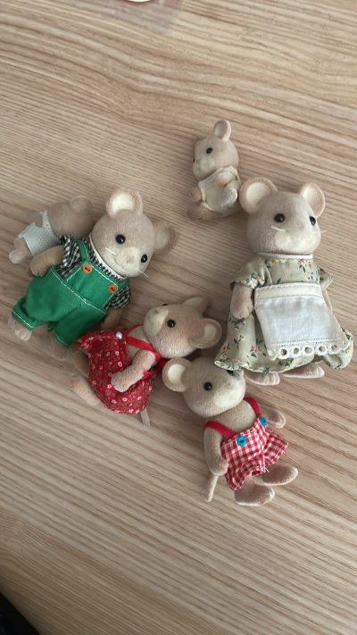 这个双休日真是收获满满，接连收到海运发出的快递。这次是筱原千绘和大和和纪的书，顺带森家公仔，没有任何运损，速度基本半个月左右一箱，很迅速。