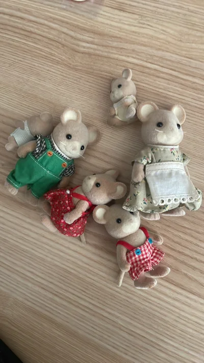 这个双休日真是收获满满，接连收到海运发出的快递。这次是筱原千绘和大和和纪的书，顺带森家公仔，没有任何运损，速度基本半个月左右一箱，很迅速。