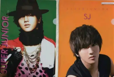 终于收到古早文件里里最爱的一套图了！是幼崽幼崽啊?甚至还好价挖到一张正规一的周边嘿嘿。物流也挺快的，保护ok