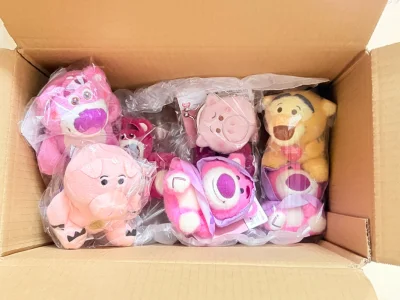 芜湖！又是一期海淘开箱分享！很开心又收到包裹！感觉每次都像拆礼物一样！收到的毛孩子都很惊喜！超喜欢的！有雨衣小熊！可爱的猪猪！依旧是稳妥的竹蜻蜓！期待下一次开箱噜！