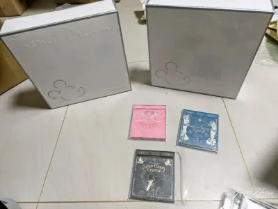 这次选择的是海运，买了些喜欢的音乐专辑，这次主要以迪斯尼为主，挺满意的，到手无损，17天到手速度还可以！非常满意！