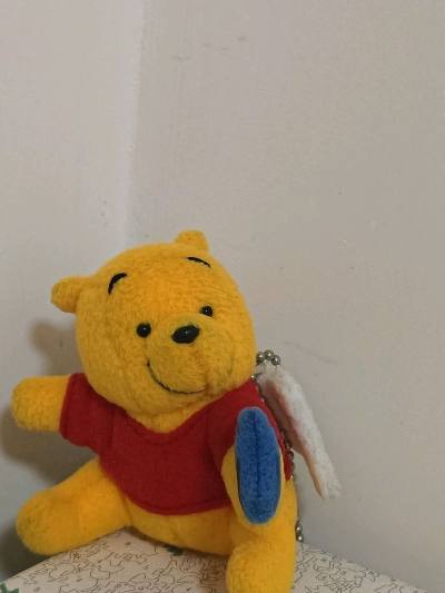 这个噗噗不要太萌!还抱着一只小鸟  洗香香咯 挖煤姬打拍卖太安心了 本来以为运费会爆炸 结果反耳还退了一部分运费