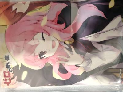 海淘的零之使魔明信片和书签也是终于到手了！等快递的日子里我天天盼着，拿到包裹那一刻心都要飞起来了。到手后一看，明信片色彩超正，书签也精致得没话说。挖煤姬上淘的东西完全没让我失望，以后还会继续在这海淘，把更多好物带回家。