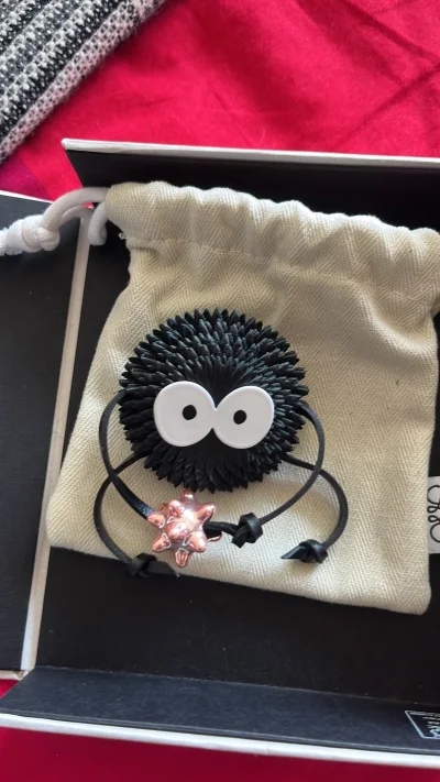 loewe的可爱挂件，这款在国内买不到了想着碰碰运气，一搜索还真的有，挖煤姬可以淘到好多绝版好物，会继续支持