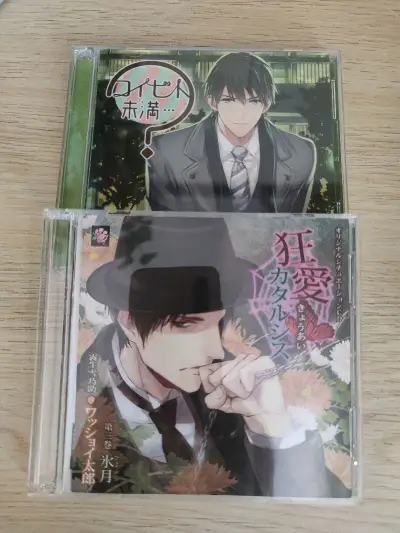 非常快的一次！
还是CD和一些杂物 因为有文件夹所以箱子好大一个
虽然没用什么填充物但是也没有损伤
买CD感觉走竹蜻蜓专线比专门的CD线便宜......