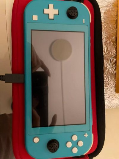 Switchlite好物分享