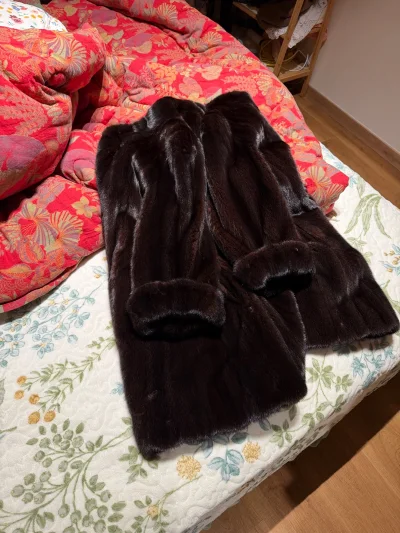 挖煤姬雅虎拍卖的一件中古宝嘉美！毛皮油光水滑、特别好看！完美！比卖家的图片好看！满意满意满意、发货也挺快