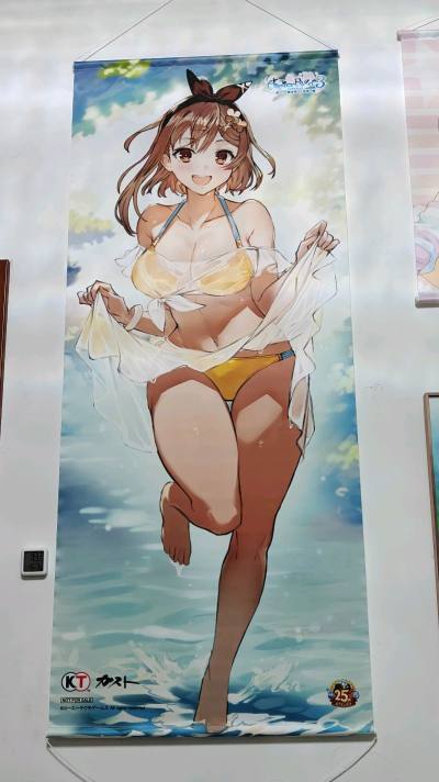 这次在骏河屋入手了两款莱莎的大尺寸挂画，整体购物体验超满意！从下单到收货全程顺畅，物流包装也很扎实，完全不用担心挂画会折损。两款挂画的印刷色彩都很饱满还原，细节清晰，人物立绘精致又有氛围感，不管是挂在房间还是收藏都很合适。