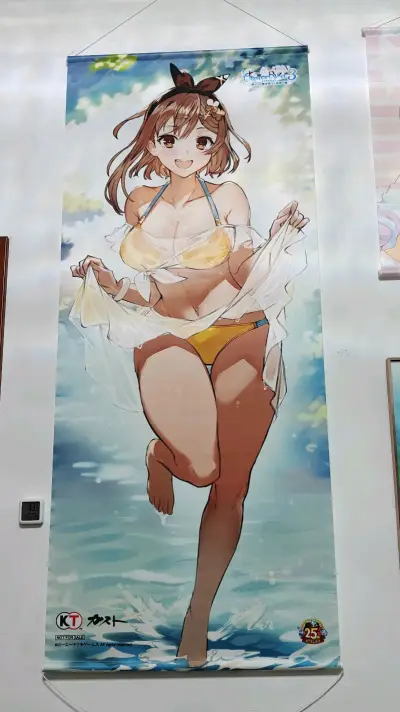 这次在骏河屋入手了两款莱莎的大尺寸挂画，整体购物体验超满意！从下单到收货全程顺畅，物流包装也很扎实，完全不用担心挂画会折损。两款挂画的印刷色彩都很饱满还原，细节清晰，人物立绘精致又有氛围感，不管是挂在房间还是收藏都很合适。