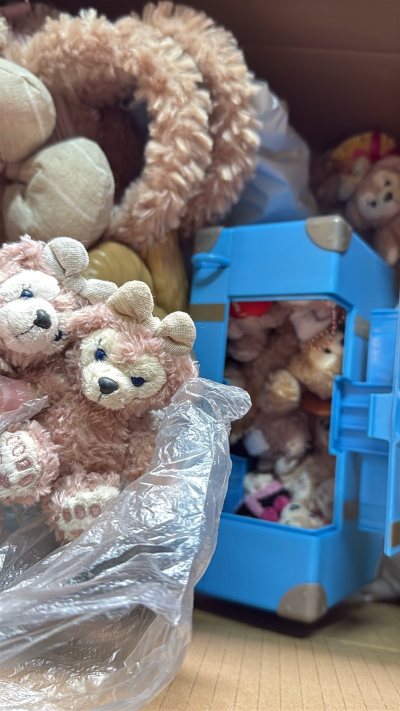 这次日淘迪士尼雪莉玫和达菲玩偶的体验超棒！包裹打包得特别扎实，层层气泡膜保护得很到位，完全不用担心运输途中会有磕碰。拆开后玩偶们都完好无损，毛绒软乎乎的，五官精致又可爱，还原度超高，手感摸起来也特别舒服。物流速度比预期快很多，客服回复也很及时，整体购物体验满分，已经...这次日淘迪士尼雪莉玫和达菲玩偶的体验超棒！包裹打包得特别扎实，层层气泡膜保护得很到位，完全不用担心运输途中会有磕碰。拆开后玩偶们都完好无损，毛绒软乎乎的，五官精致又可爱，还原度超高，手感摸起来也特别舒服。物流速度比预期快很多，客服回复也很