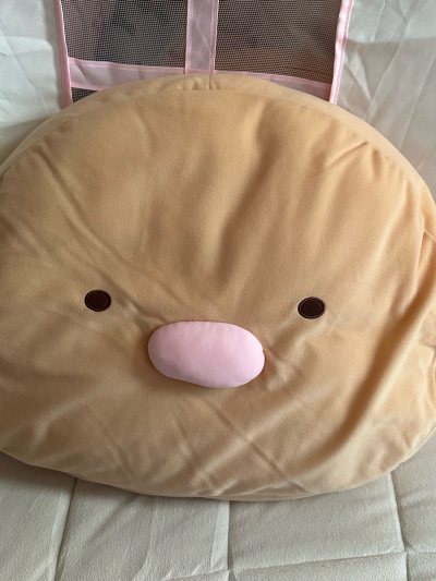 开箱开箱！超级可爱的靠垫终于是到了 我说邮费为什么要将近40块没想到实物比想象中的大很多  到货我也是很满意呀！