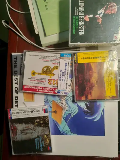 这是用挖煤姬进行第三次日淘了，而且还购买了黑胶唱片，这回特意选了加固包装，到时候可以说完好无损，总之还会用挖煤姬继续海淘
