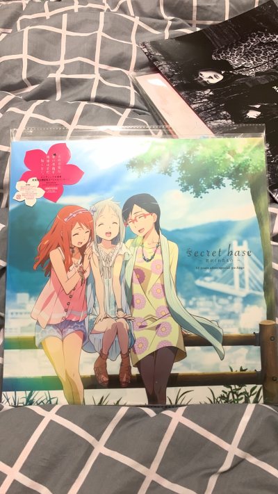 这次代购《未闻花名》CD的体验非常满意。虽然是二手日版，但品相和卖家描述一致，盘面干净播放流畅，只是外壳有轻微使用痕迹。最让我放心的是物流，防震包装做得很专业，追踪信息也一直很及时。客服在查询物流时回复很迅速，整体感觉专业靠谱，以后有需要还会通过这里代购。


