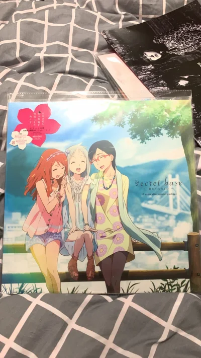 这次代购《未闻花名》CD的体验非常满意。虽然是二手日版，但品相和卖家描述一致，盘面干净播放流畅，只是外壳有轻微使用痕迹。最让我放心的是物流，防震包装做得很专业，追踪信息也一直很及时。客服在查询物流时回复很迅速，整体感觉专业靠谱，以后有需要还会通过这里代购。


