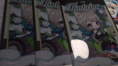 切到了很多的貌美小猫联动文件夹
有储存功能就很方便
可以等到了一起运回来
邮费我觉得算的很合理 包的很好 还有积分可以抵