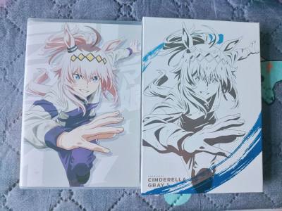 在挖煤姬淘了不少动漫吧唧和色纸，体验感超棒！特意选了入库前拍照和加固服务，入库前能清晰确认商品状态，提前避开瑕疵问题；打包时气泡膜、硬纸盒层层防护，易碎的周边完好无损。平台操作简单，物流时效稳定，客服响应及时，日淘囤货特别省心，绝对是靠谱的海淘选择！