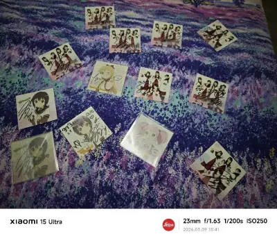 我永远喜欢摇曳百合，真不容易收到这些老物从日本运过来也很快，有的不发货，一催挖煤姬客服就跟人家沟通就发货了，我非常开心，已经收藏起来了，包装的也好