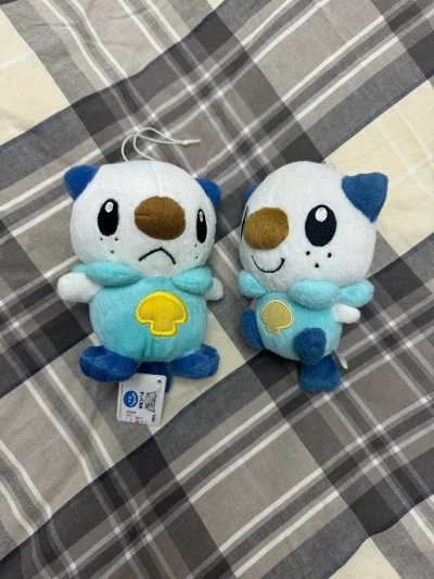 这次分享的包裹是bw最爱的御三家-水水獭（米
酒），这次挖煤姬的包装很大一个箱子，里面塞满了泡沫纸，减缓了米酒在运输途中的不适，很感恩！希望之后也能好好的收服新米酒。